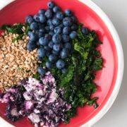 Blueberry Kale Salad in a red ad white bowl