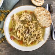 Instant Pot Chicken Noodle Soup
