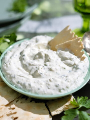 CREAM CHEESE HERB AND GARLIC DIP WITH A CRACKER INSIDE.